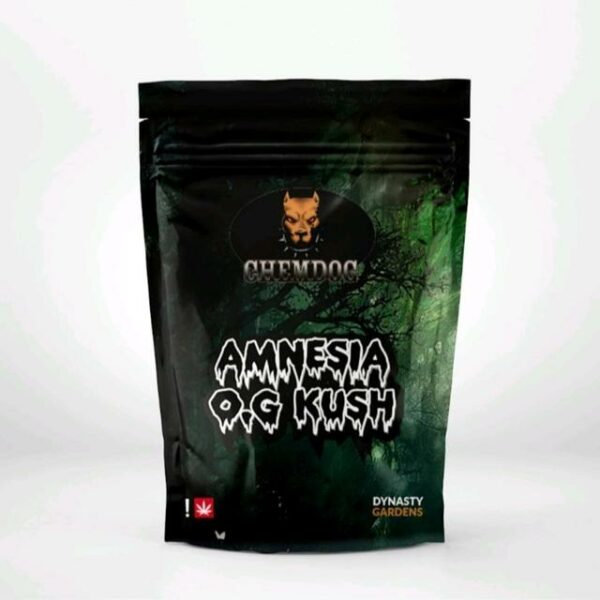 L'Amnesia OG Kush CBD est une variété de fleurs de chanvre réputée pour son arôme caractéristique et son profil cannabinoïde équilibré