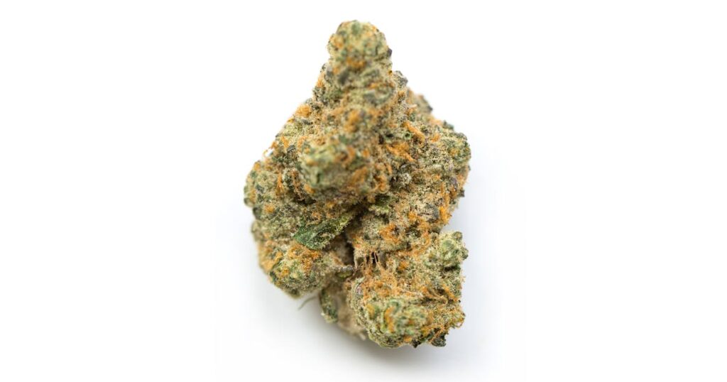 La Green Dragon CBD est une variété de fleurs de chanvre prisée pour ses effets apaisants et son profil aromatique unique